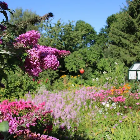 アパート Am Obersee *